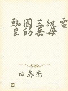 韩国三级电影善良的岳母