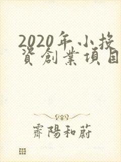 2020年小投资创业项目是挣钱