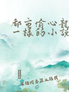 都市偷心龙爪手一样的小说