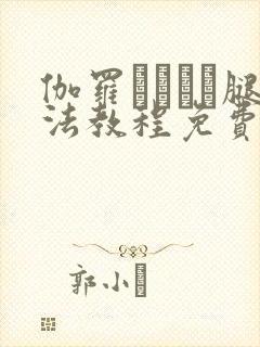 伽罗ちゃんが腿法教程免费