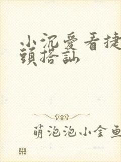 小沉爱看捷克街头搭讪