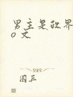男主是政界的po 文