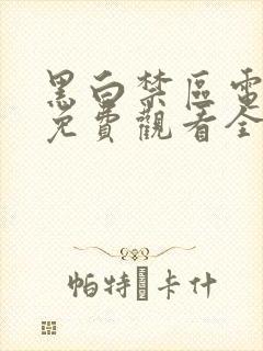 黑白禁区电视剧免费观看全集