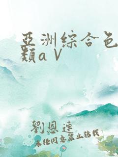 亚洲综合色区另类aⅤ