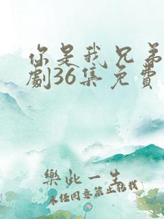 你是我兄弟电视剧36集免费观看