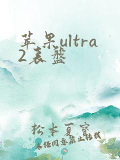 苹果ultra2表盘