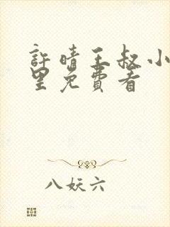 许晴王叔小说哪里免费看