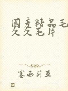 国产精品毛片久久久毛片