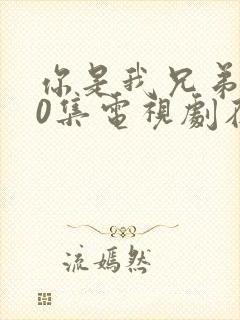 你是我兄弟全40集电视剧在线播放免费