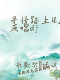 爱情路上风雨多原唱dj