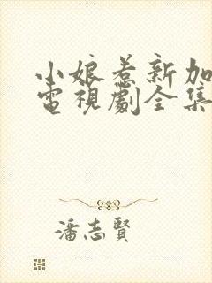 小娘惹新加坡版电视剧全集