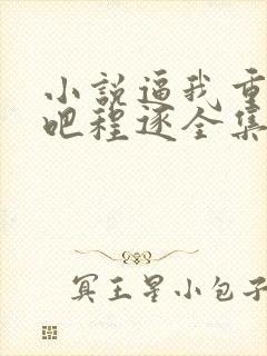 小说逼我重生是吧程逐全集