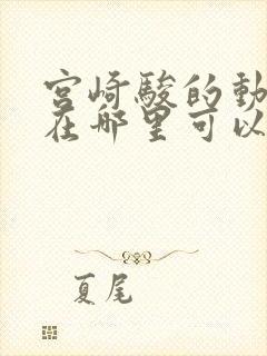 宫崎骏的动画片在哪里可以看