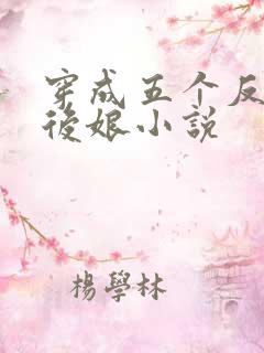 穿成五个反派的后娘小说