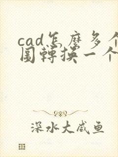 cad怎么多个图转换一个pdf文件里