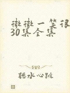 微微一笑很倾城30集全集