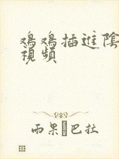 鸡鸡插进阴道的视频