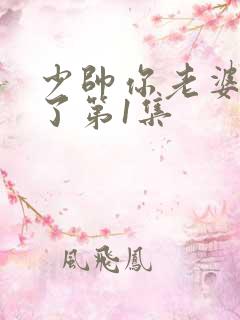 少帅你老婆又跑了第1集