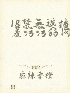 18禁无遮挡羞羞污污的网站