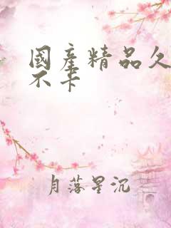 国产精品久久久不卡