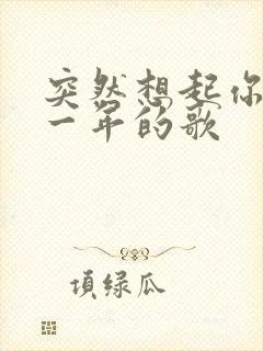 突然想起你是哪一年的歌