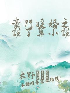 豪门暖婚之夫人说了算小说