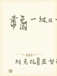 黄色一级a一片中国