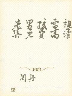 老男孩电视剧全集免费高清在线观看