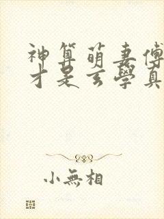 神算萌妻傅太太才是玄学真大佬听书