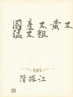 国产又黄又色又猛又粗