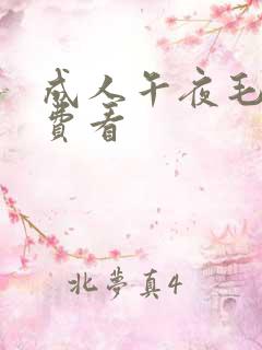 成人午夜毛片免费看