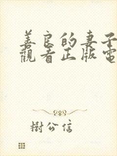 善良的妻子免费观看正版电视剧