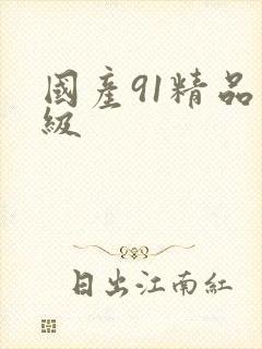 国产91精品三级