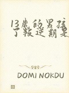 13岁的男孩到了叛逆期是怎么教