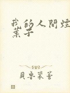 我的人间烟火 叶子