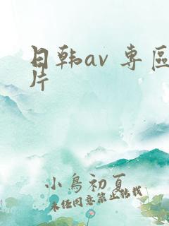 日韩av 专区片