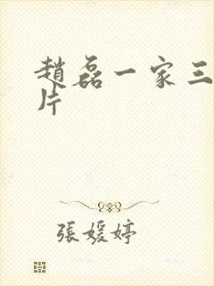 赵磊一家三口照片