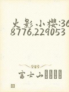 火影小樱:368776,229053