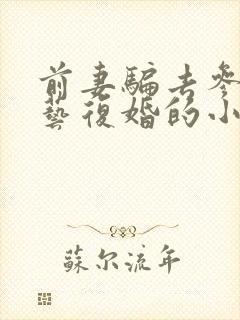 前妻骗去参加综艺复婚的小说