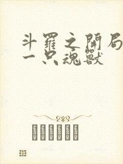 斗罗之开局变成一只魂兽