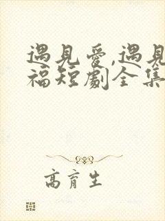 遇见爱,遇见幸福短剧全集观看