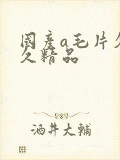 国产a毛片久久久精品