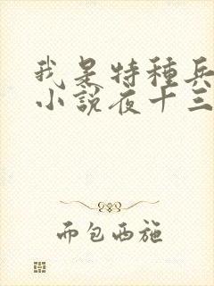 我是特种兵杨洛小说夜十三