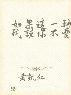 如果这一秒你跟我说你不爱我歌词