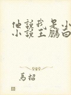 他说我是小妖精小说王鹏白雪