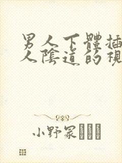 男人下体插进女人阴道的视频