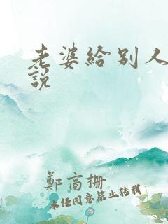 老婆给别人搞小说