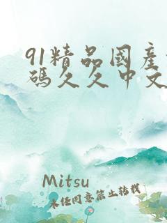 91精品国产乱码久久中文