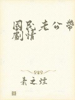 国民老公带回家剧情