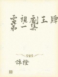 电视剧王牌部队第一集